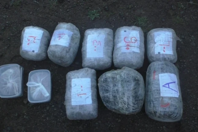 featured-image-713777