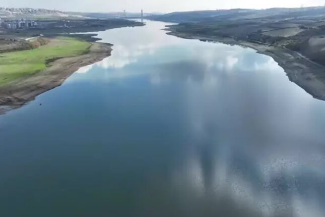 featured-image-711781