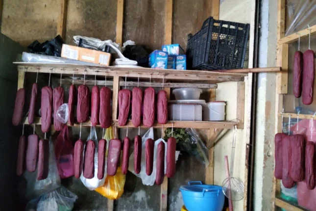 featured-image-711234