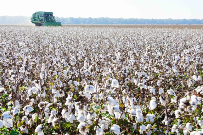 featured-image-713895