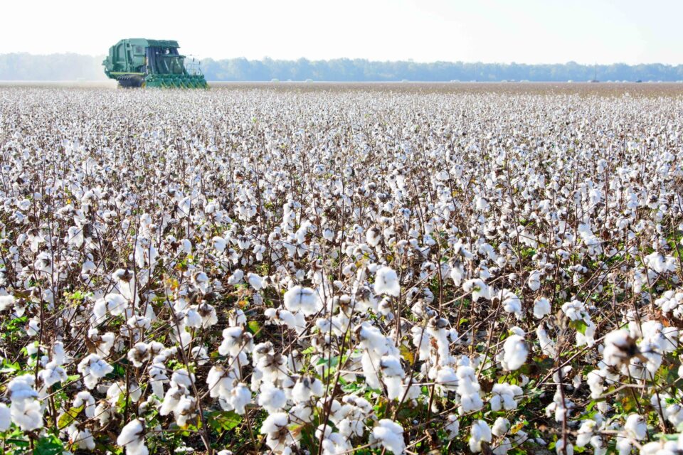 featured-image-713895