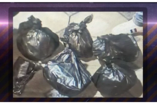 featured-image-711286