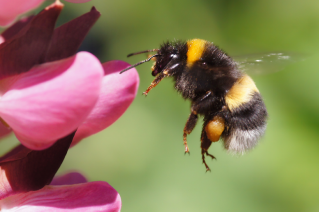 featured-image-710981