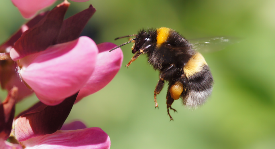 featured-image-710981