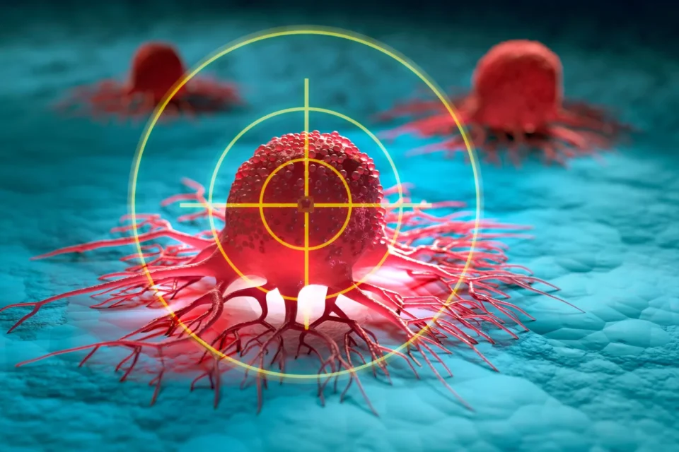 featured-image-712359