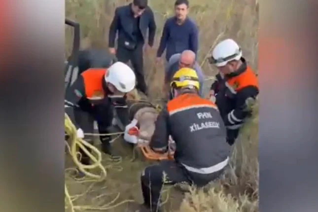 featured-image-710548