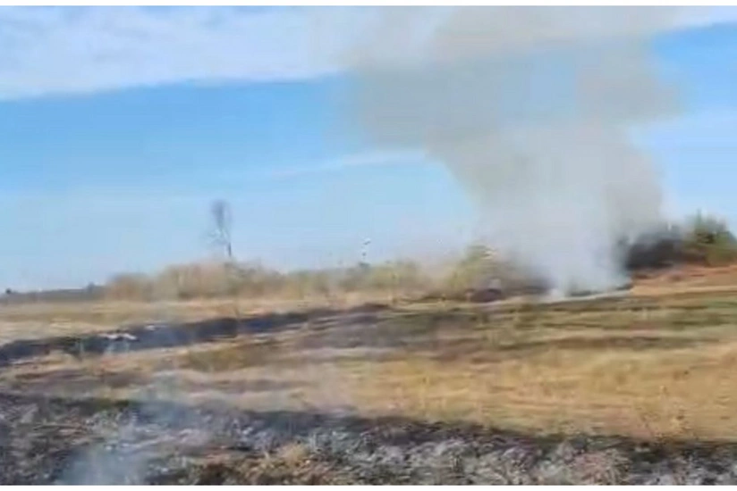 featured-image-709989