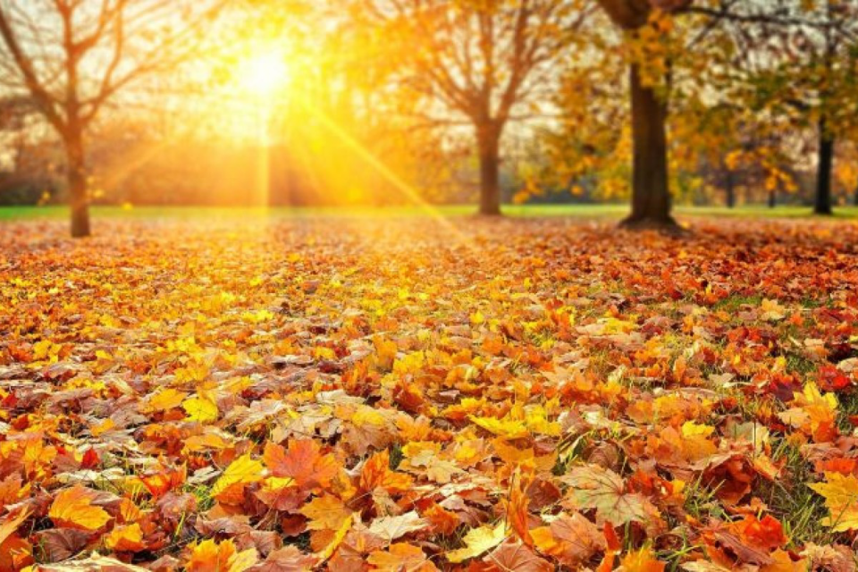 featured-image-710624