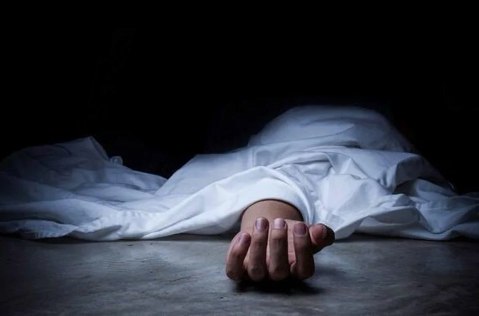 featured-image-711438