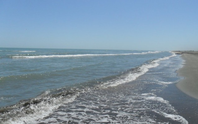 featured-image-711581