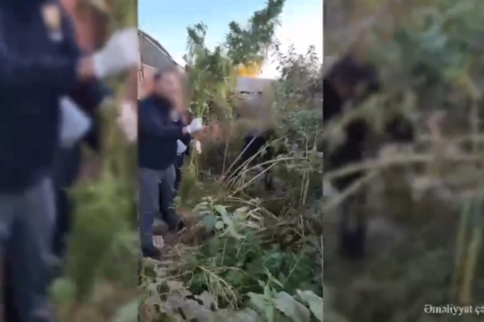 featured-image-708732