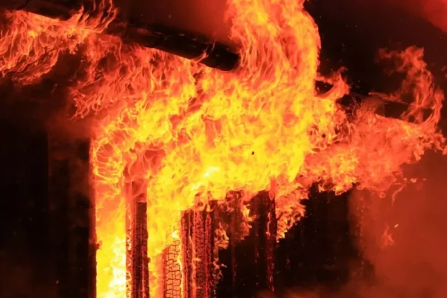 featured-image-710565