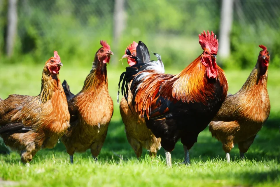 featured-image-710587