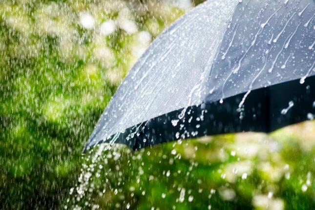 featured-image-711146