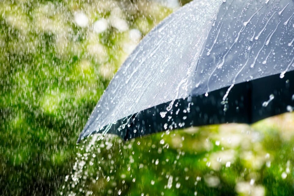 featured-image-711146