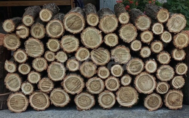 featured-image-711366