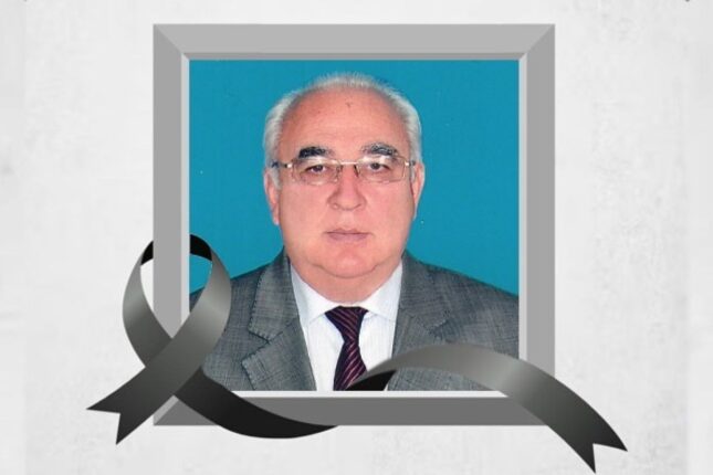 featured-image-711386