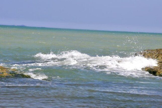 featured-image-713143