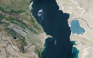 featured-image-710464