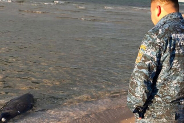 featured-image-710468