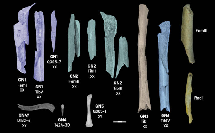media-neanderthalcannibals1