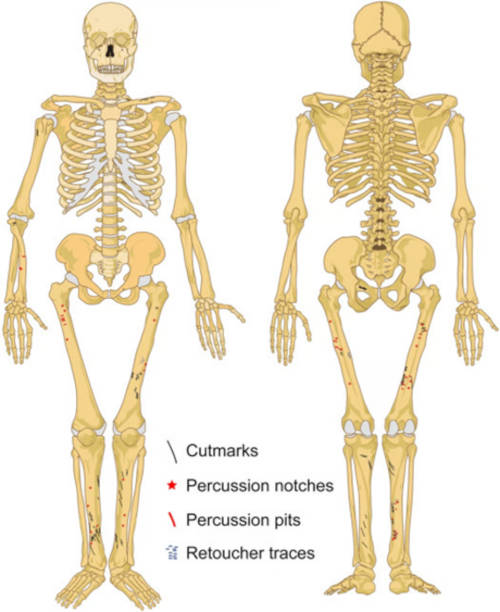 media-neanderthalcannibals3