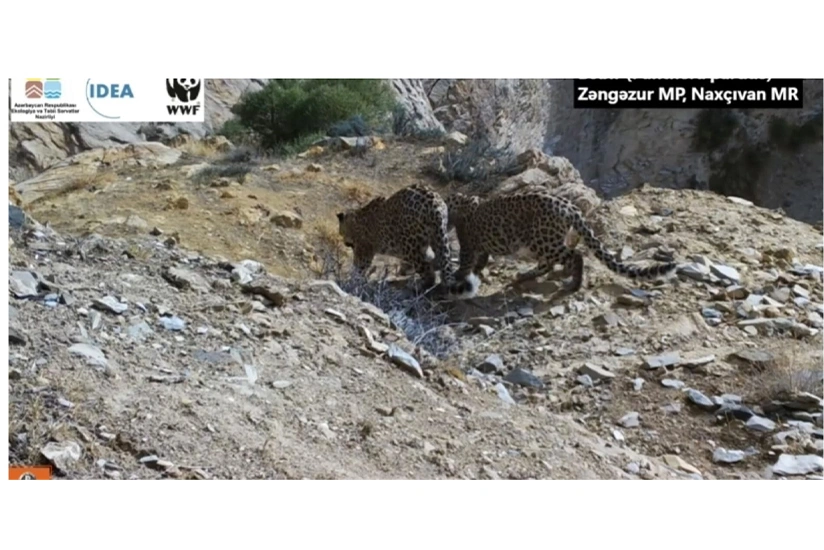 featured-image-713675