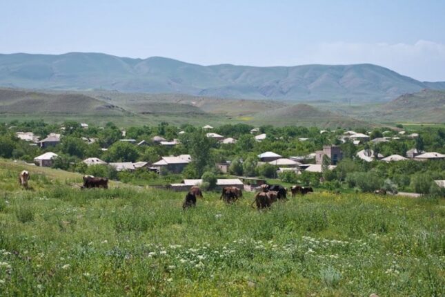 featured-image-709303