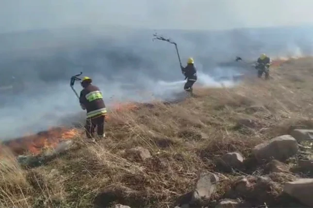 featured-image-710533