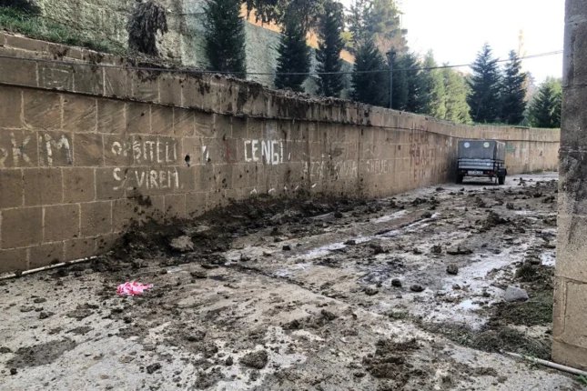 featured-image-711756