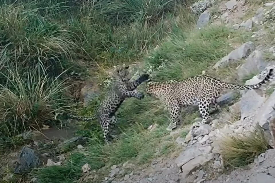 featured-image-711232