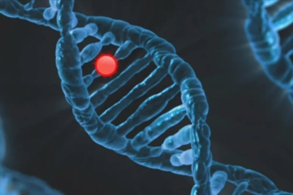 featured-image-713292