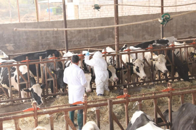 featured-image-711890