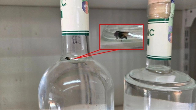 featured-image-710786