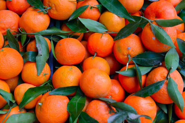 featured-image-709587