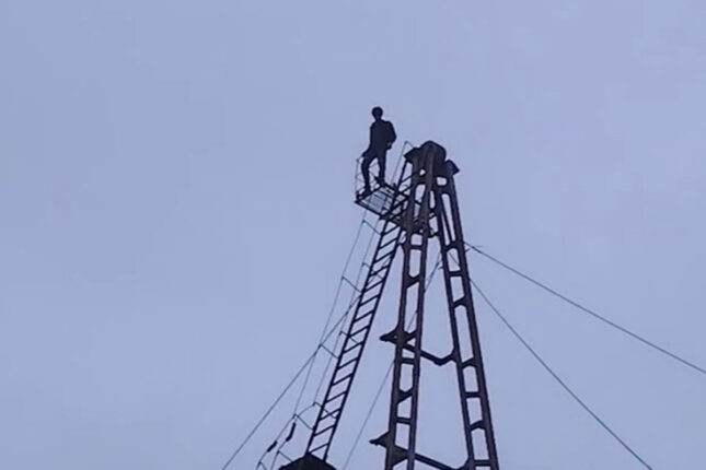 featured-image-710377