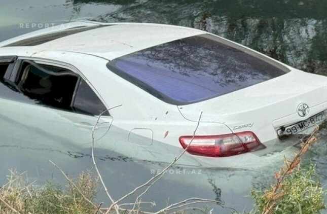 featured-image-708779