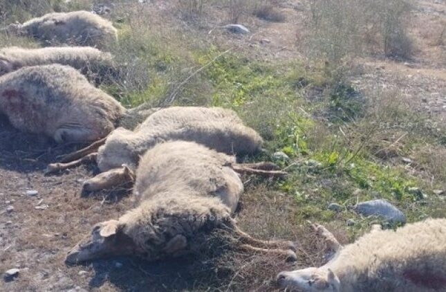 featured-image-708772