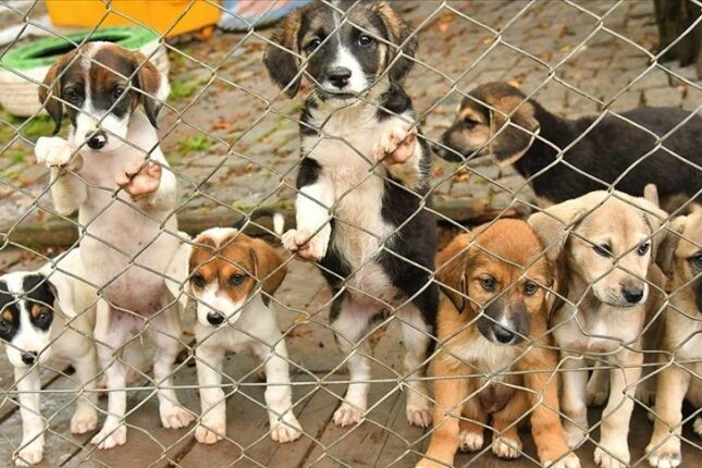 featured-image-709677