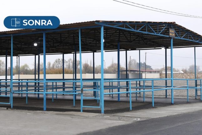 featured-image-717205