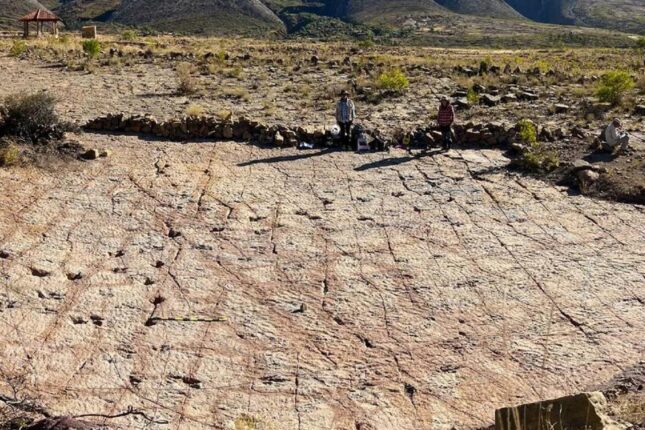 featured-image-714907