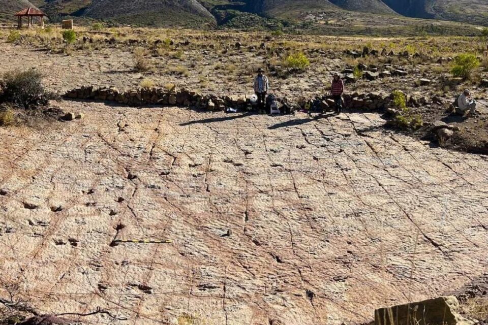 featured-image-714907