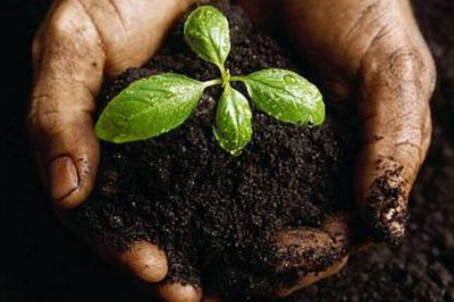 featured-image-717859