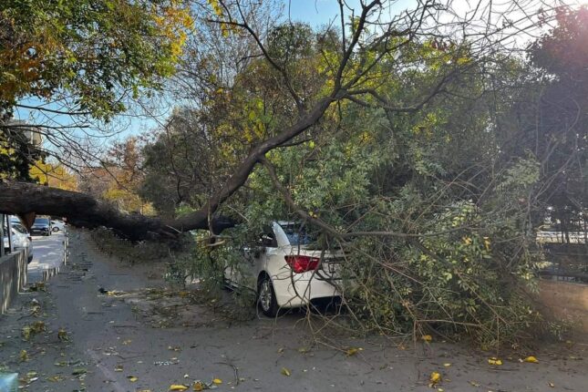 featured-image-717179