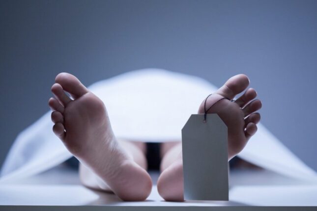 featured-image-716514