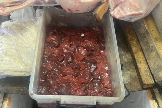 featured-image-718943