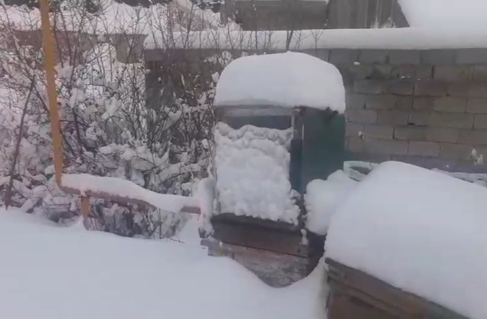 featured-image-719355