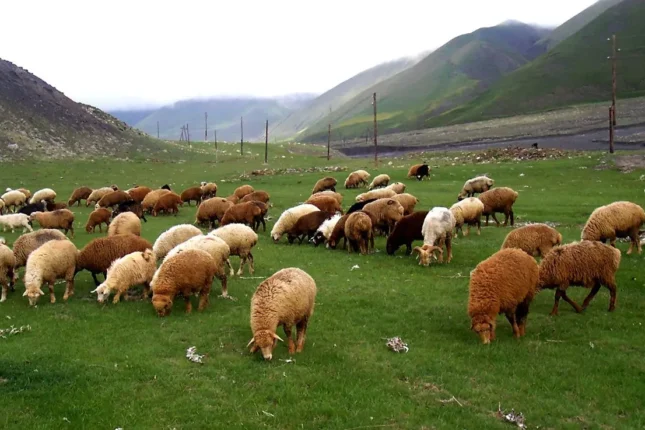 featured-image-718675