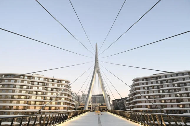 featured-image-719406