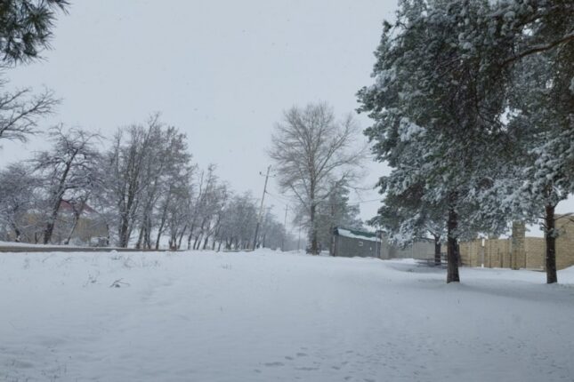 featured-image-714510